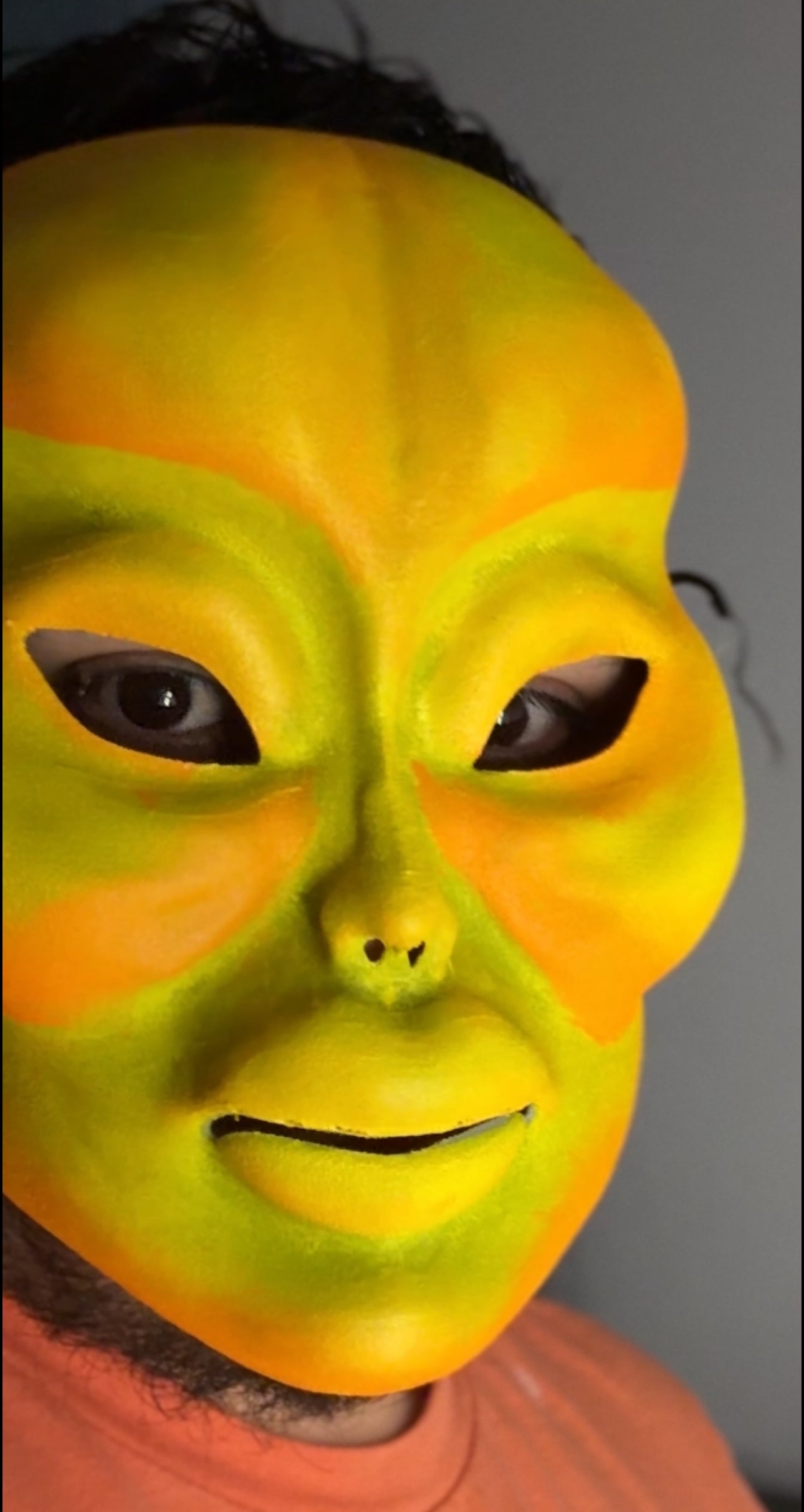 Sunburst Rebecca 3D Printed Face Mask